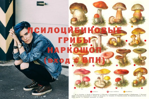 твердый Беломорск