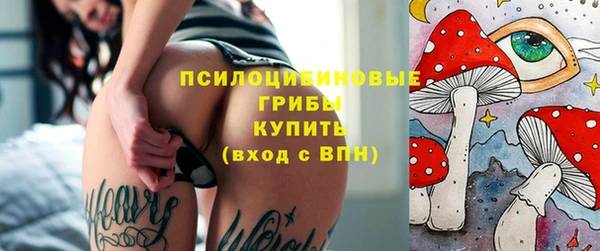 шишки Тавда
