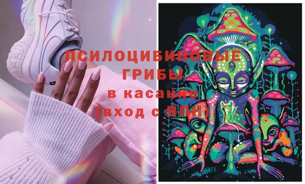 твердый Беломорск
