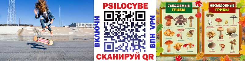 Галлюциногенные грибы мухоморы  дарнет шоп  Вяземский 