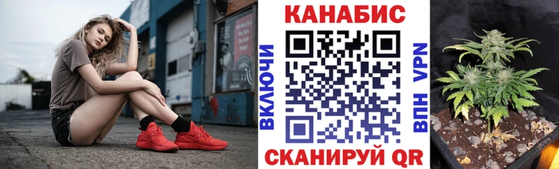 Марихуана план  купить закладку  Вяземский 